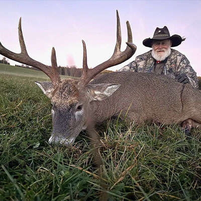 Whitetail in Finland